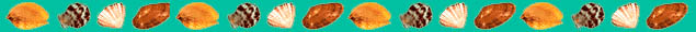 shells