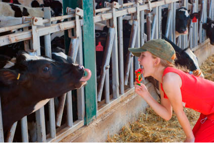 girl and cow