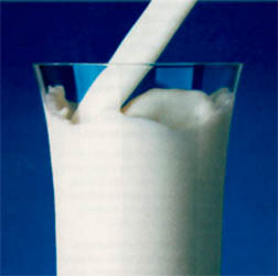 glass of milk