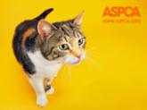 aspca